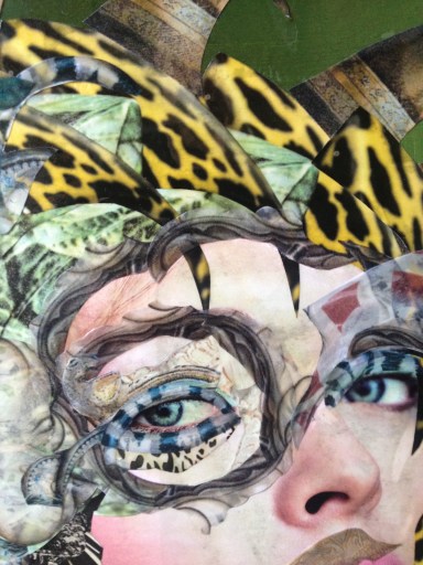 SD 66X85 GINEVRA DET